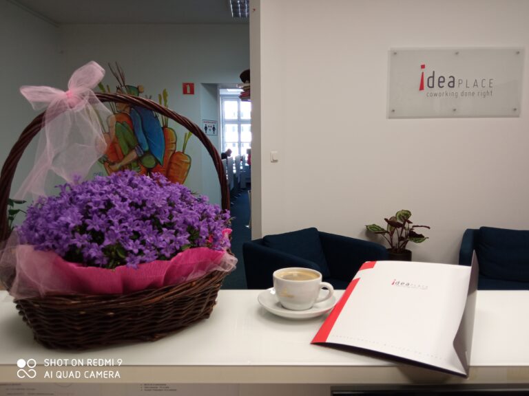 Ideaplace - galeria